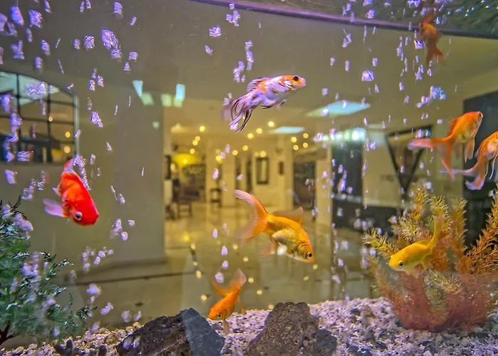 Ξενοδοχείο Sinatra 4*