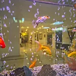 Hotel Sinatra 4*